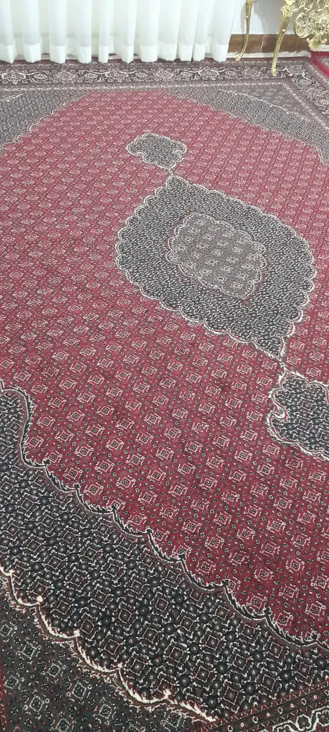 فرش ۱۲متری|فرش|خرم‌آباد, |دیوار