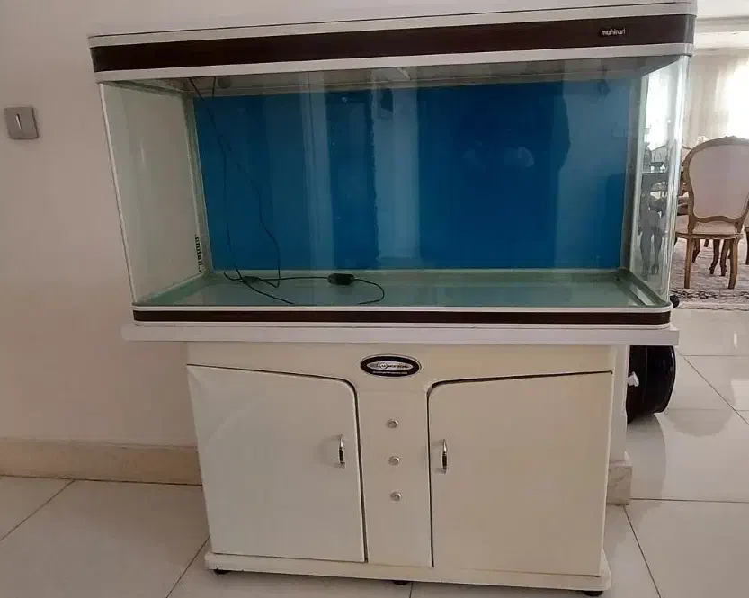 آکواریوم ماهیران|ماهی|اندیشه, اندیشه فاز ۲|دیوار