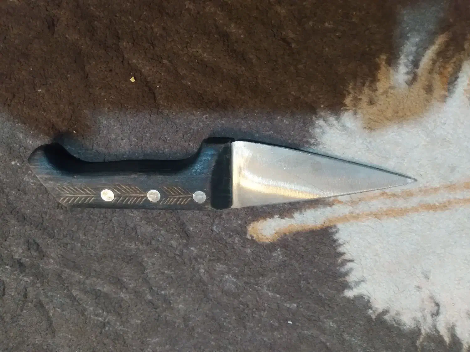 چاقو|کلکسیون و سرگرمی|شیراز, بالا کفت|دیوار