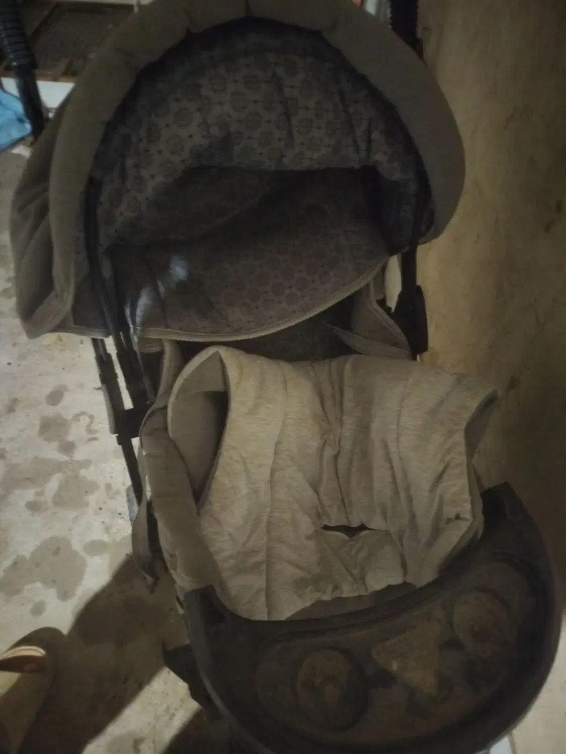 کالسکه|کالسکه و لوازم جانبی|گنبد کاووس, |دیوار