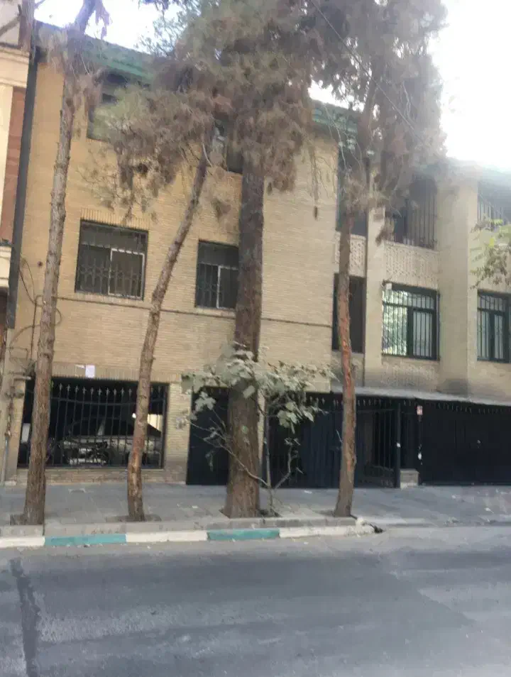 ۸۰۰ متر/ کلنگی / دو نبش / غربی ها|فروش زمین و ملک کلنگی|تهران, علم و صنعت|دیوار