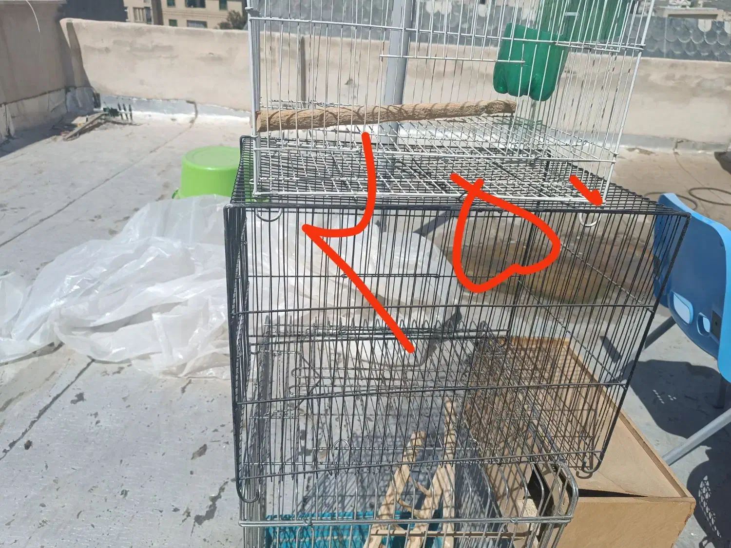 قفس پرنده|لوازم جانبی حیوانات|اندیشه, اندیشه فاز ۱|دیوار