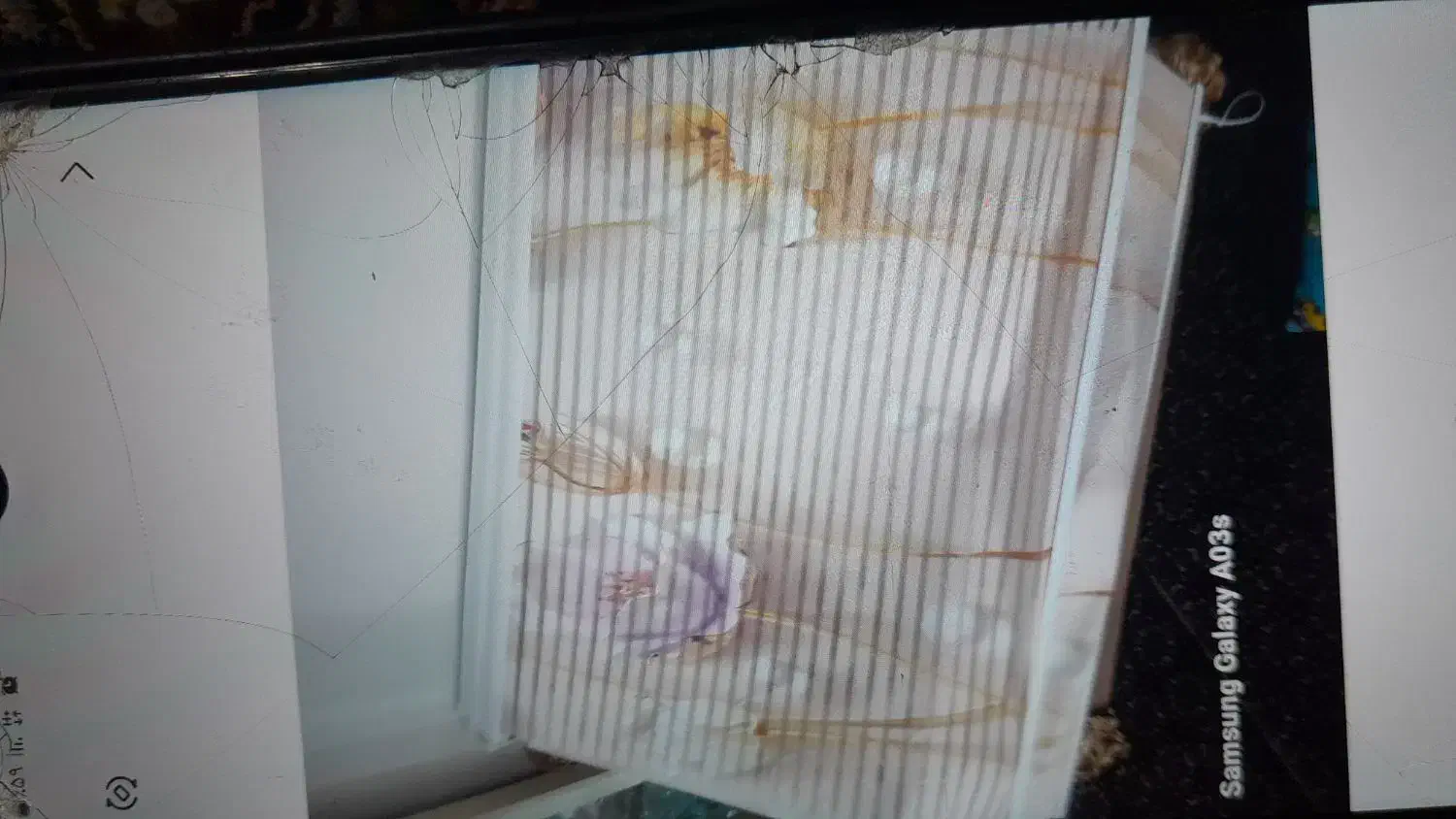 پرده زبره نو بیست روزاستفاده شده|پرده، رانر، رومیزی|مشگین شهر, |دیوار