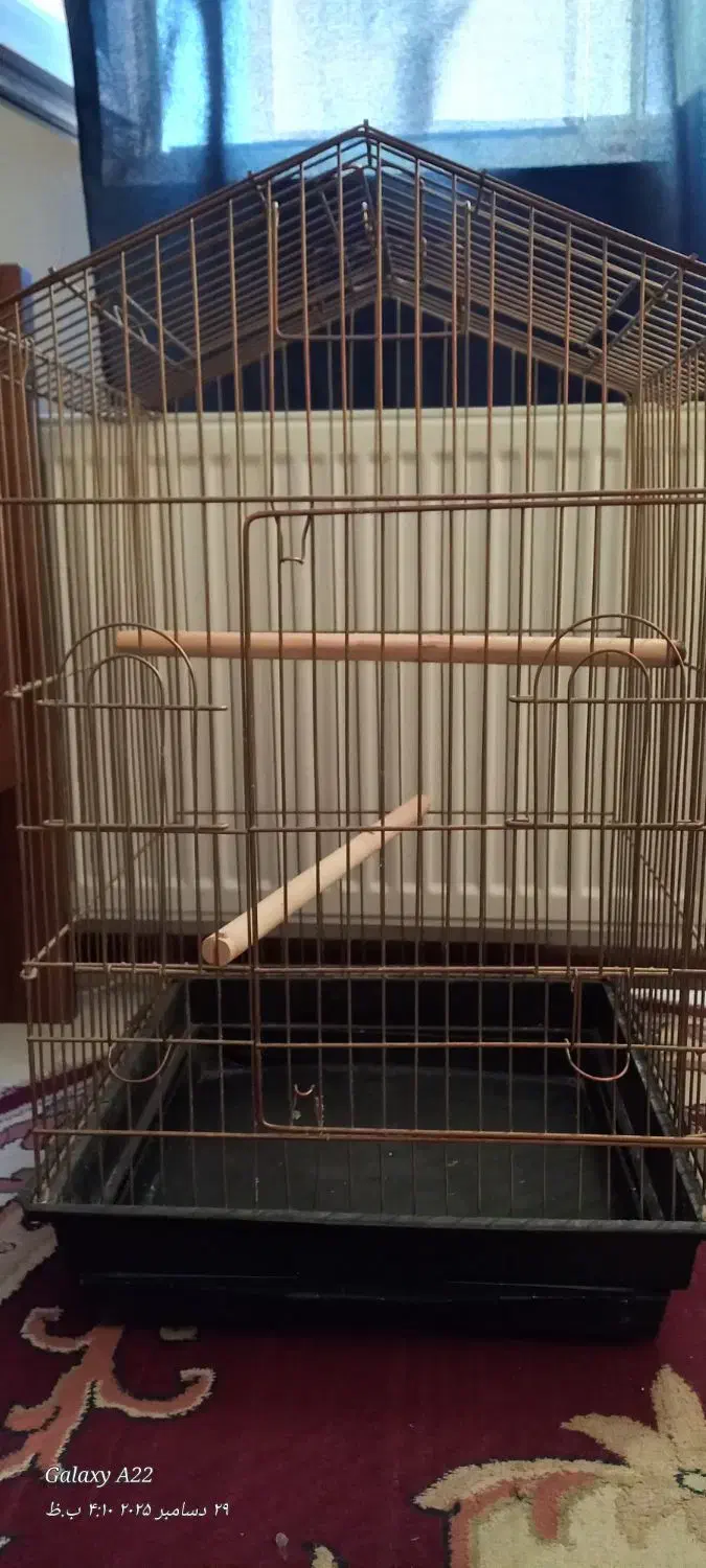 قفس|لوازم جانبی حیوانات|پردیس, فاز ۱۱|دیوار