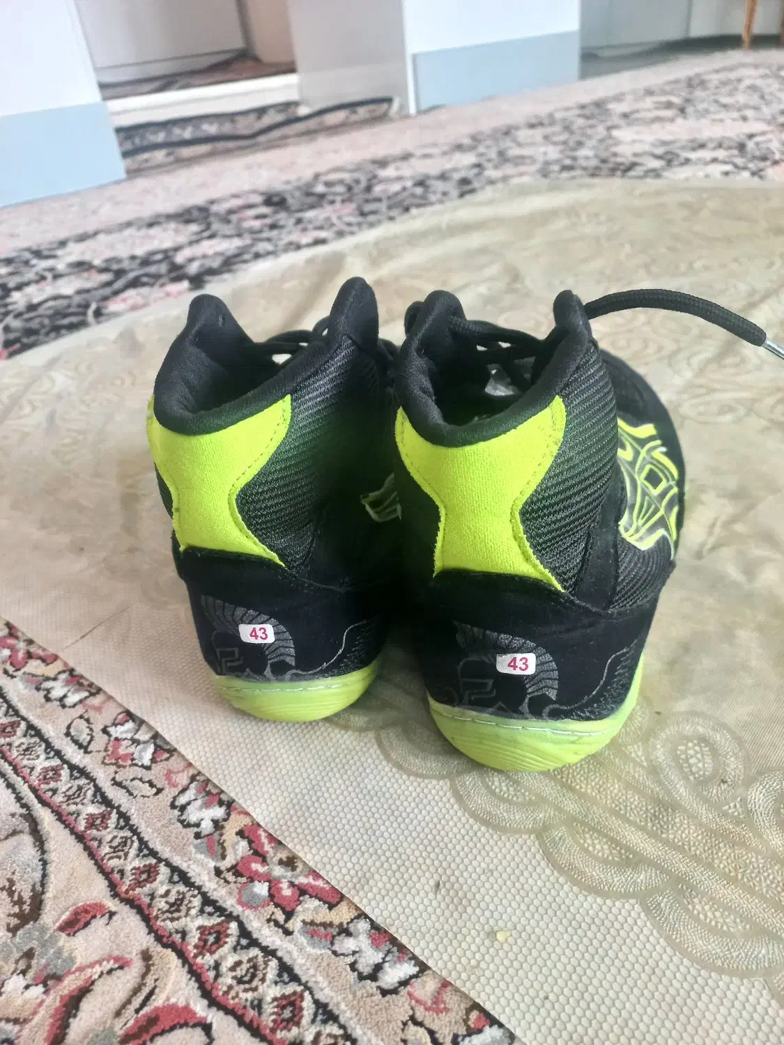 کفش کشتی|تجهیزات ورزشی|زرندیه, |دیوار