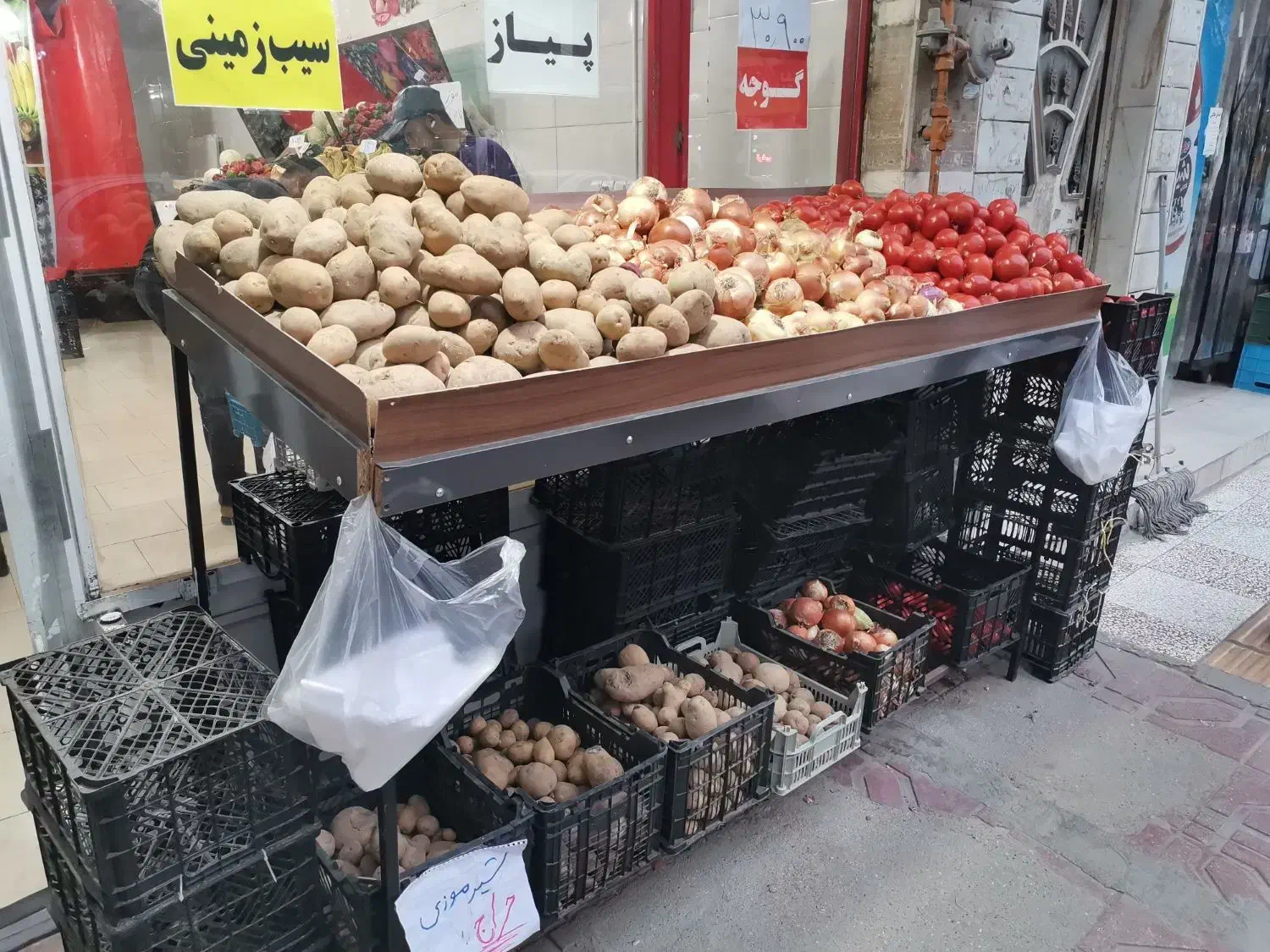 استند قفسه میوه فروشی|فروشگاه و مغازه|گنبد کاووس, |دیوار