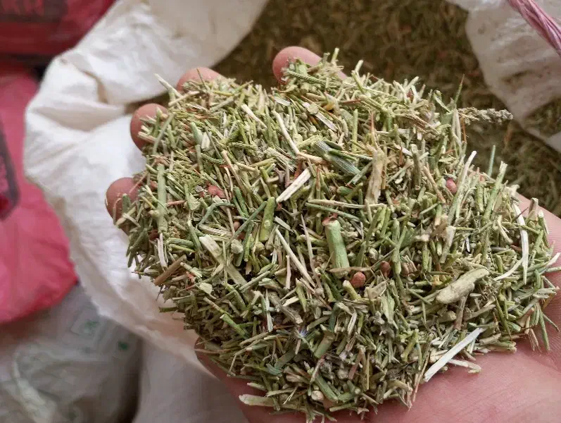 خار بجای یونجه استفاده کن|لوازم جانبی حیوانات|اصفهان, آزادان|دیوار