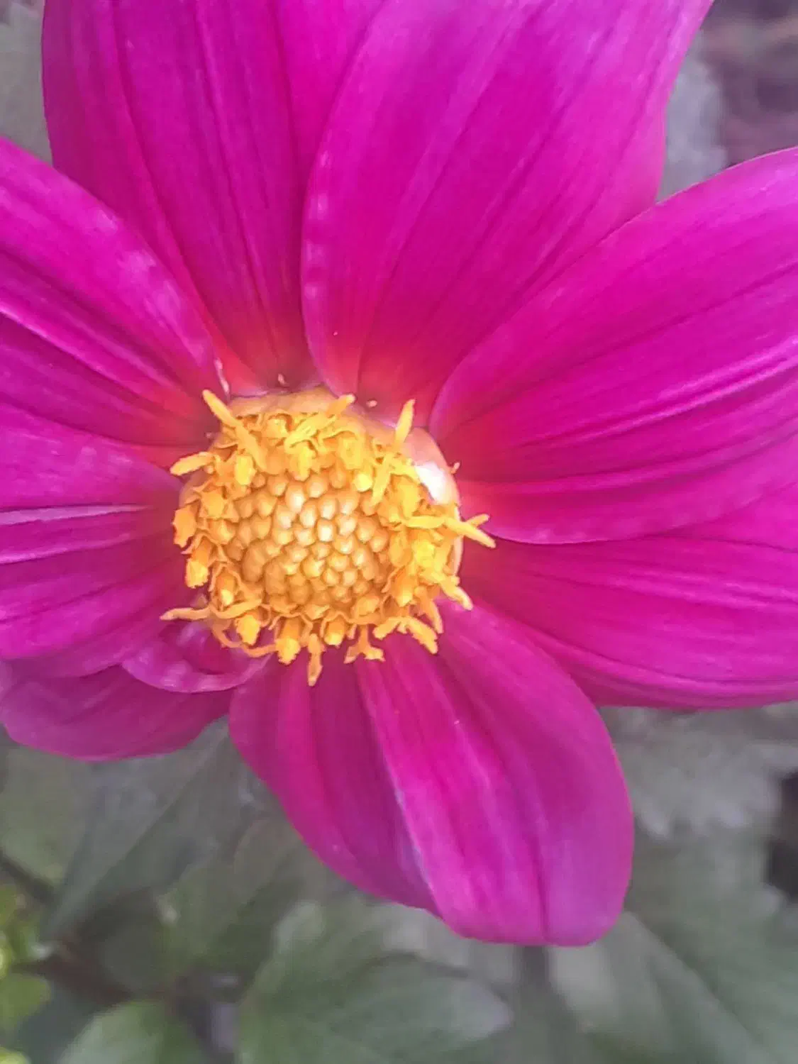 پایان نامه|استخدام رایانه و فناوری اطلاعات|دزفول, |دیوار