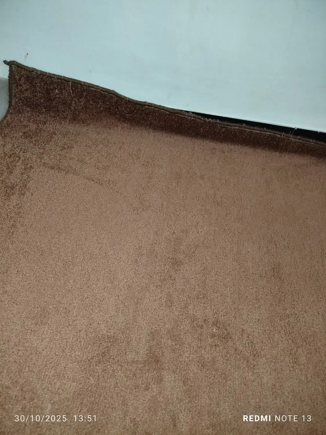 موکت و تابلو فرش|موکت|مریوان, |دیوار