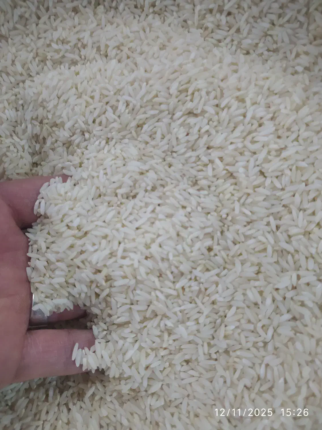 برنج معطر ممتاز دورود|خوردنی و آشامیدنی|الیگودرز, |دیوار