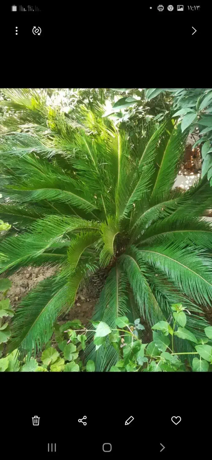 پانسیون.خوابگاه دانشجویی.کارمندی(پسران)|اجارهٔ کوتاهمدت آپارتمان و سوئیت|گرگان, |دیوار