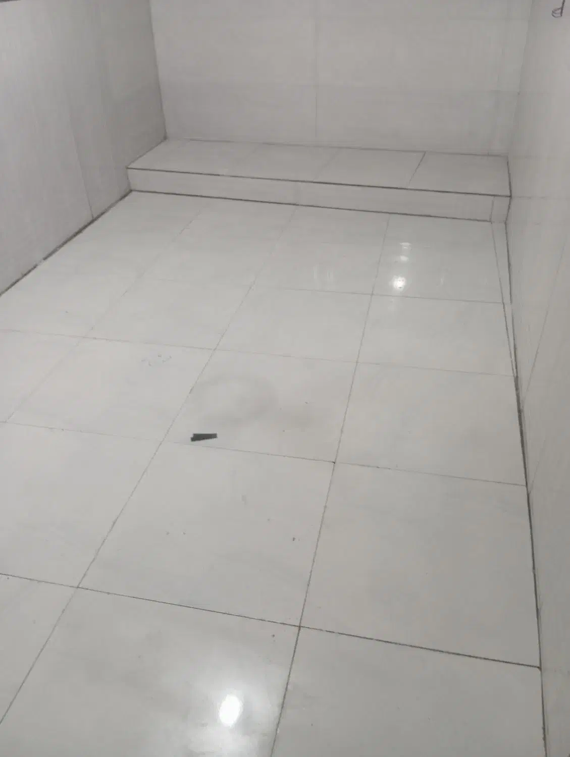 کشی کاری|خدمات پیشه و مهارت|میناب, |دیوار