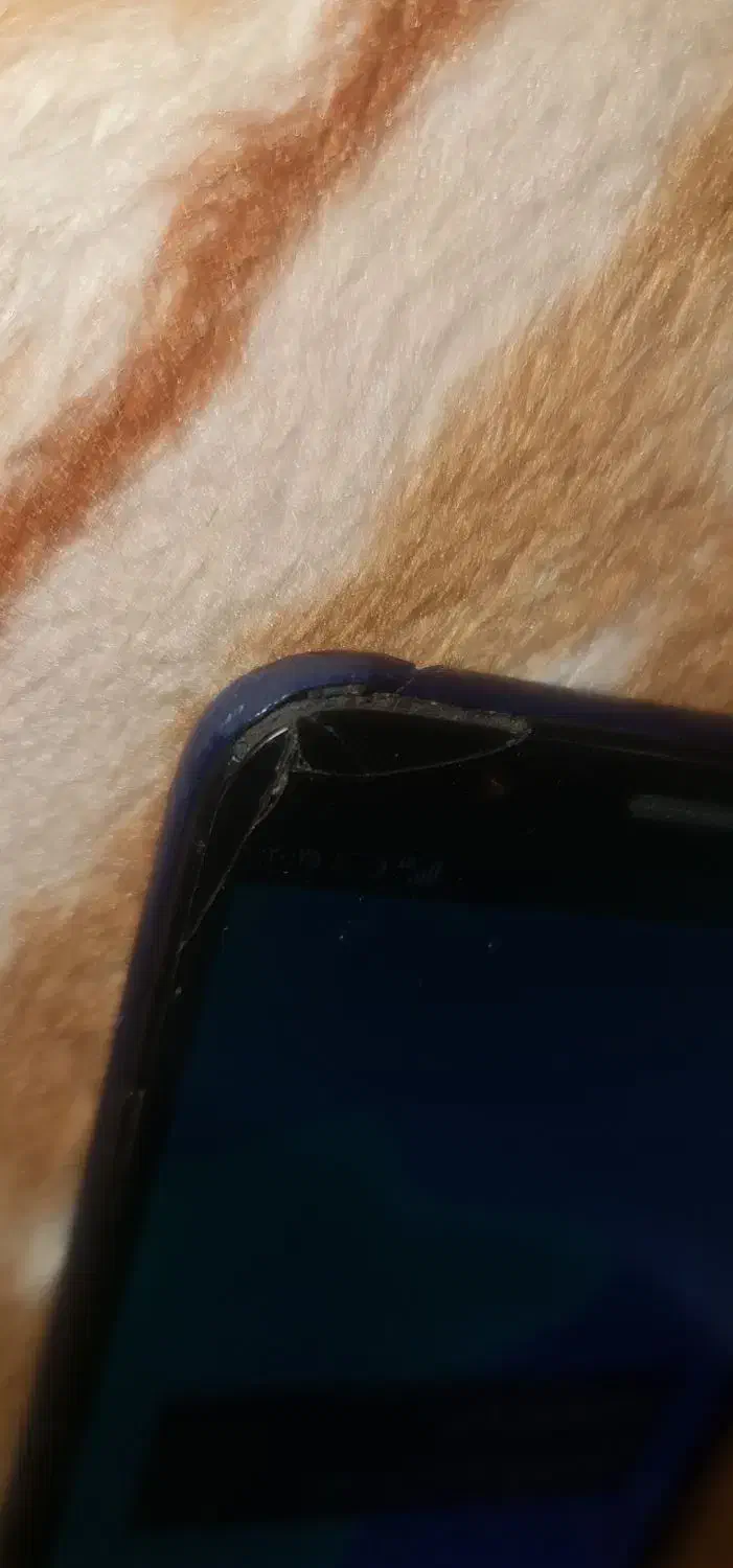 گوشی|موبایل|کرمانشاه, |دیوار