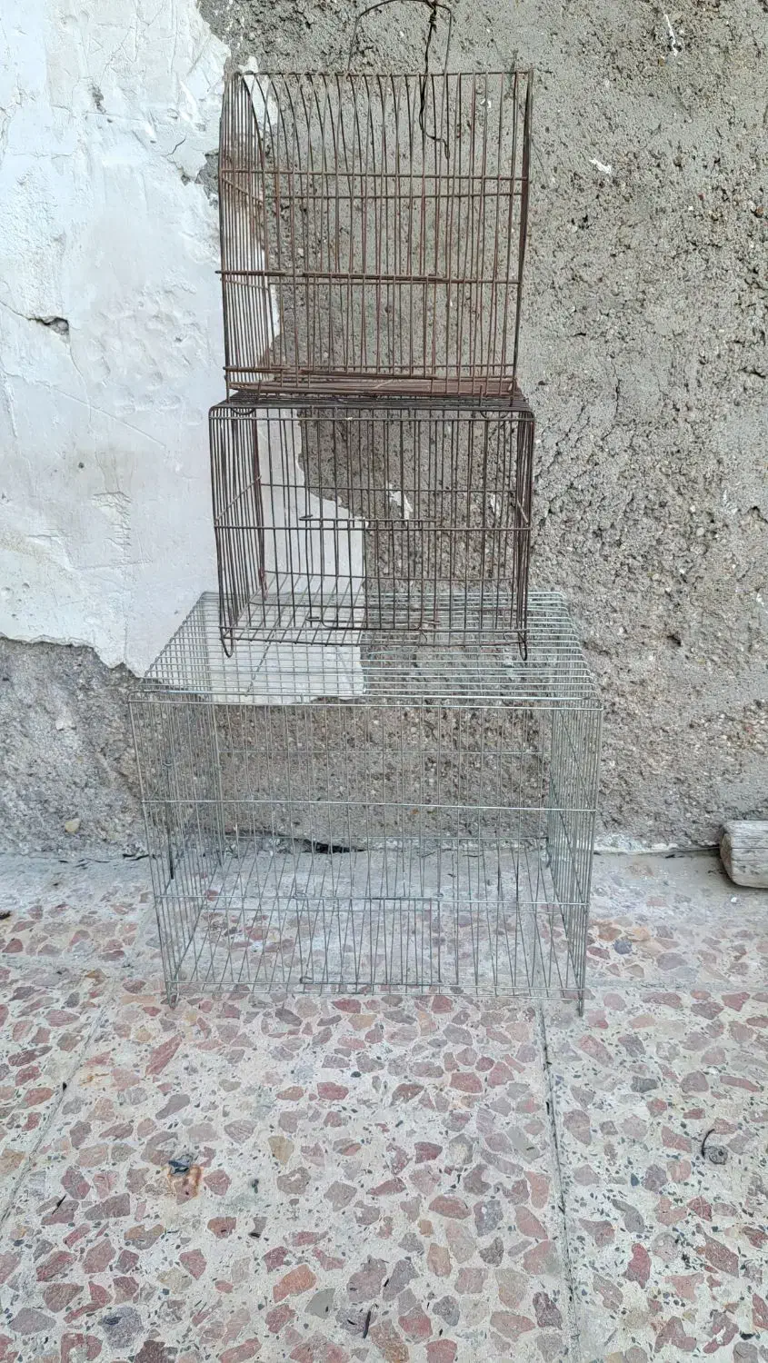 قفس|لوازم جانبی حیوانات|باوی, |دیوار