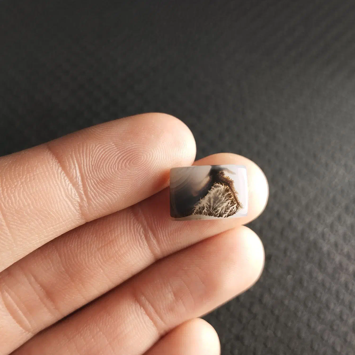 نگین شجر قائن|جواهرات|شاهین دژ, |دیوار