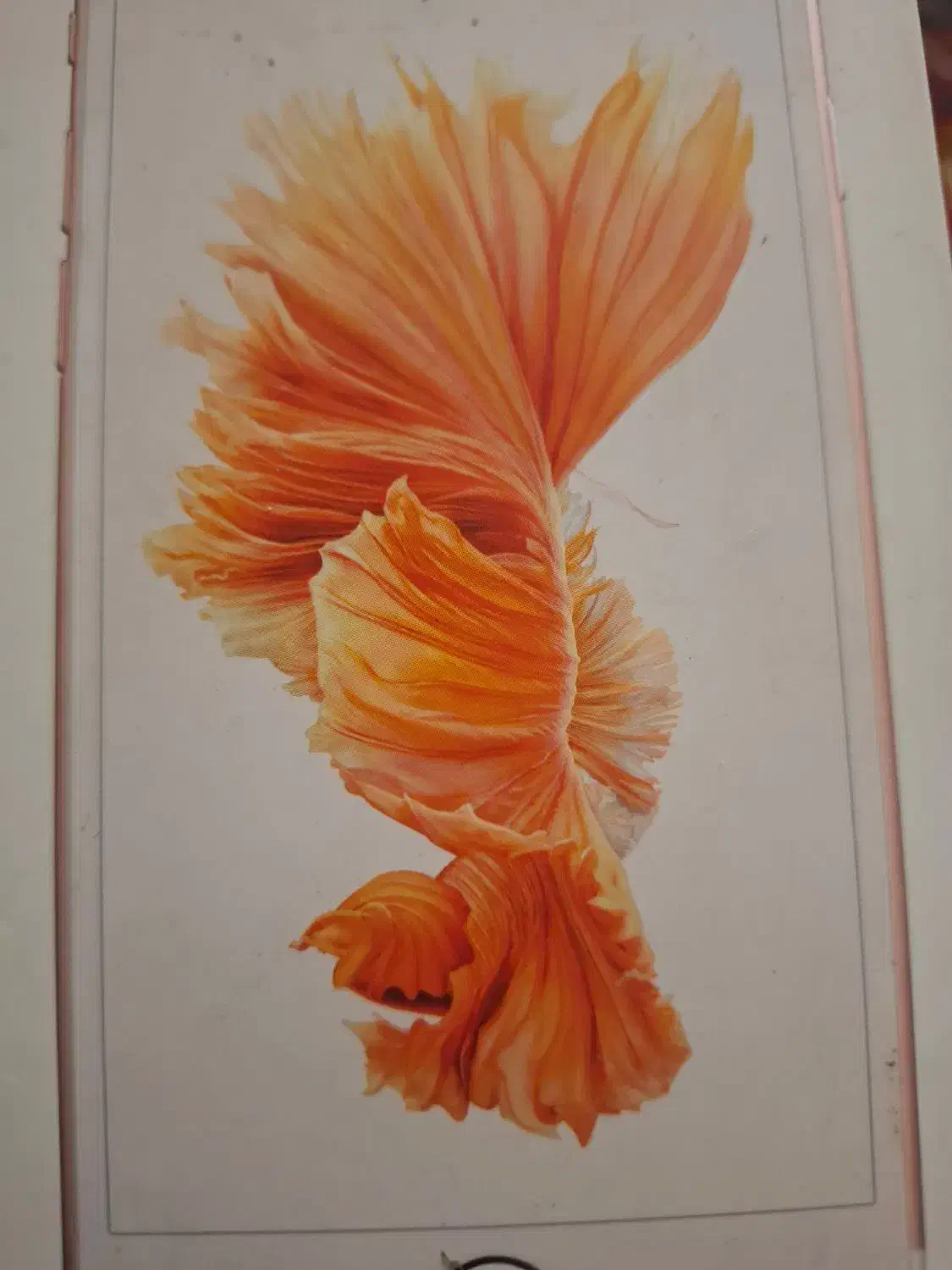 آیفون s6|موبایل|تبریز, |دیوار