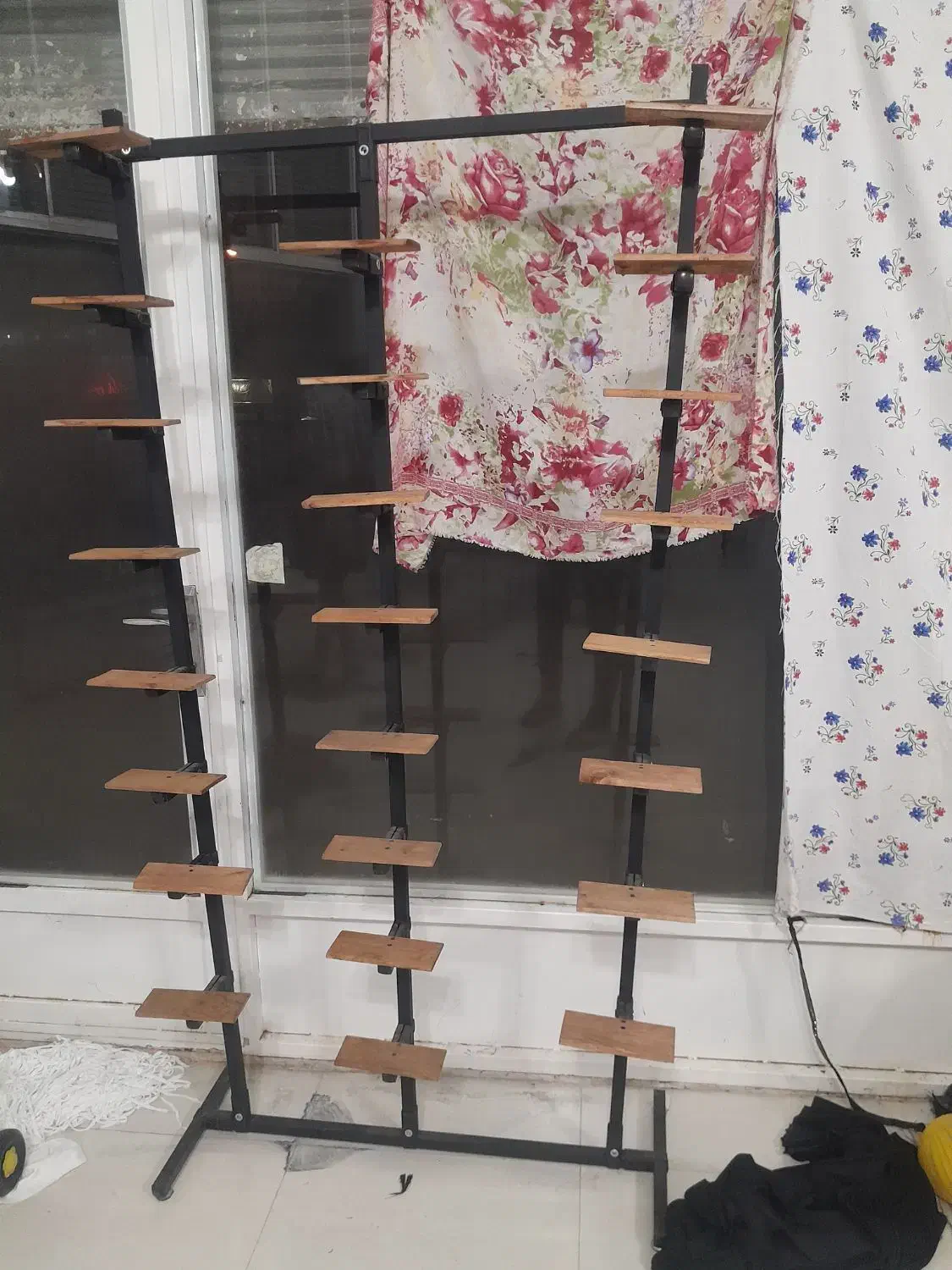 رگال کفش ۲۴تایی|فروشگاه و مغازه|قیدار, |دیوار