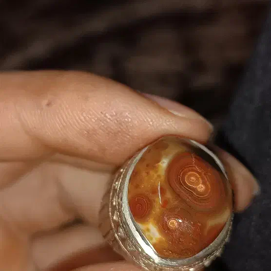 انگشتر سلطانی کلکسیونی|کلکسیون اشیاء عتیقه|اهواز, کمپلو جنوبی|دیوار