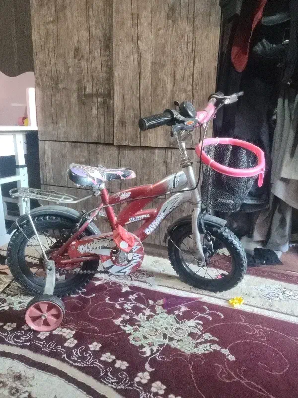 دوچرخه 12|دوچرخه، اسکیت، اسکوتر|صدرا-فارس, فاز ۱|دیوار