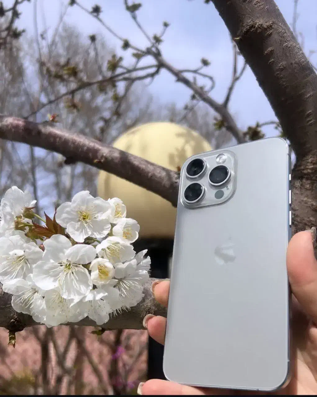 گوشی طرح آیفون 15 پرومکس|موبایل|کرج, شاهین‌ویلا|دیوار