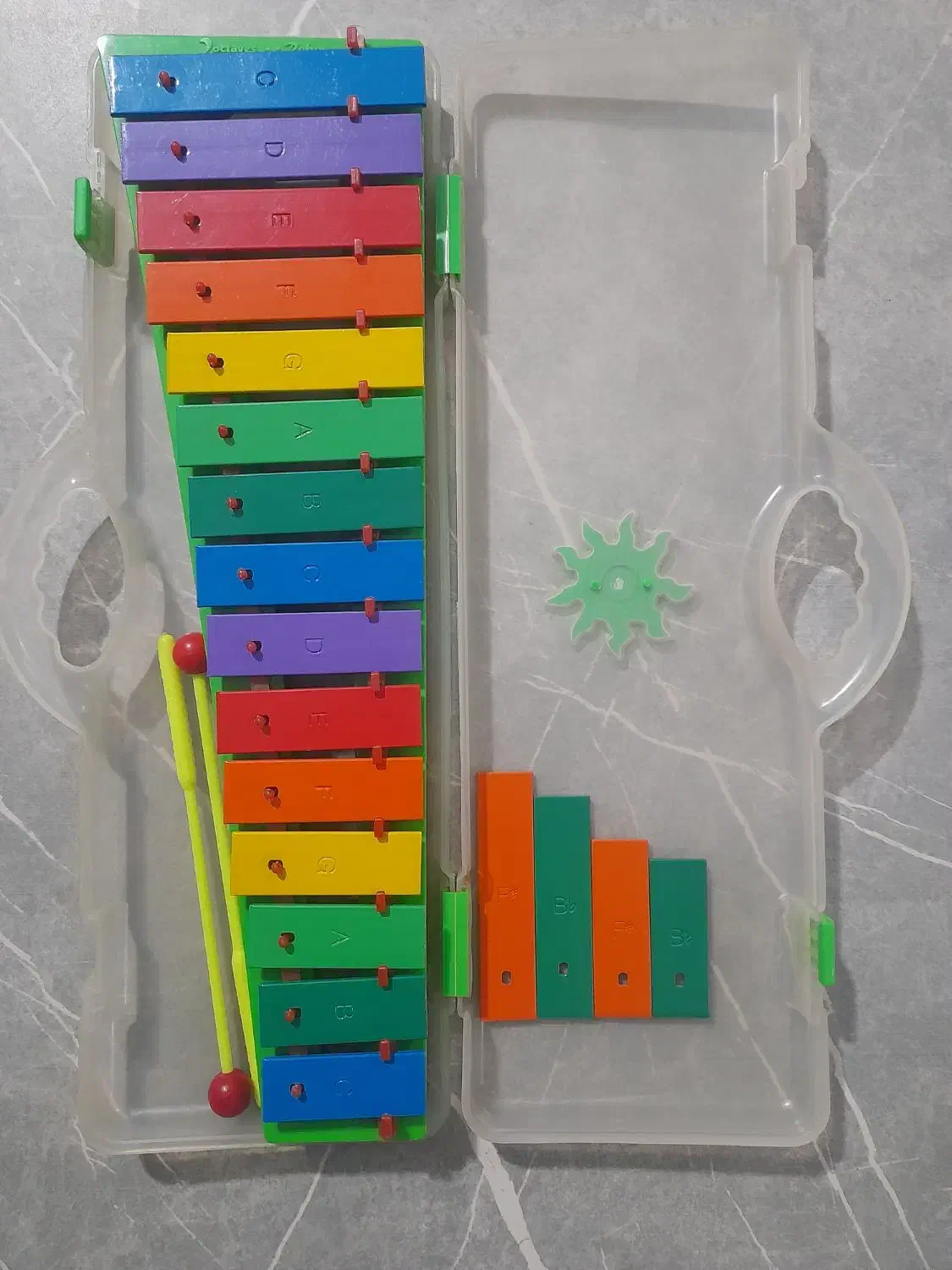 بلز|آلات موسیقی|فردیس, منظریه|دیوار