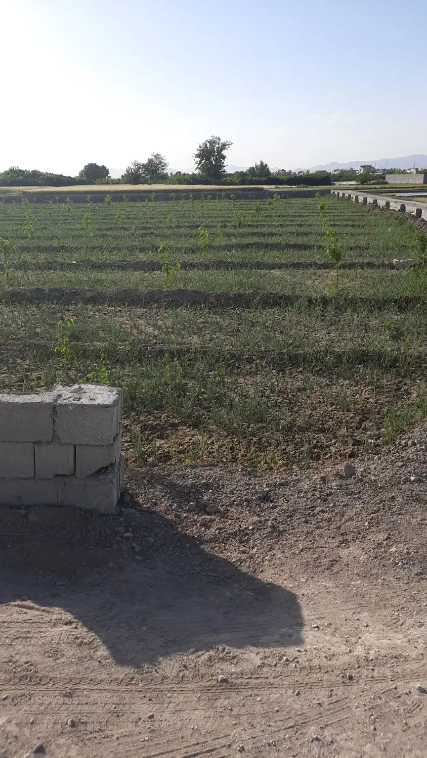 باغ|خدمات باغبانی و درختکاری|فلاورجان, |دیوار