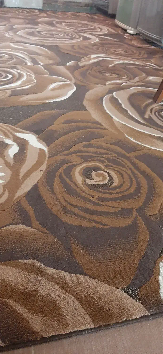 دو تخته گلیم گل برجسته ضخیم سالم|گلیم، جاجیم، گبه|کرمان, |دیوار