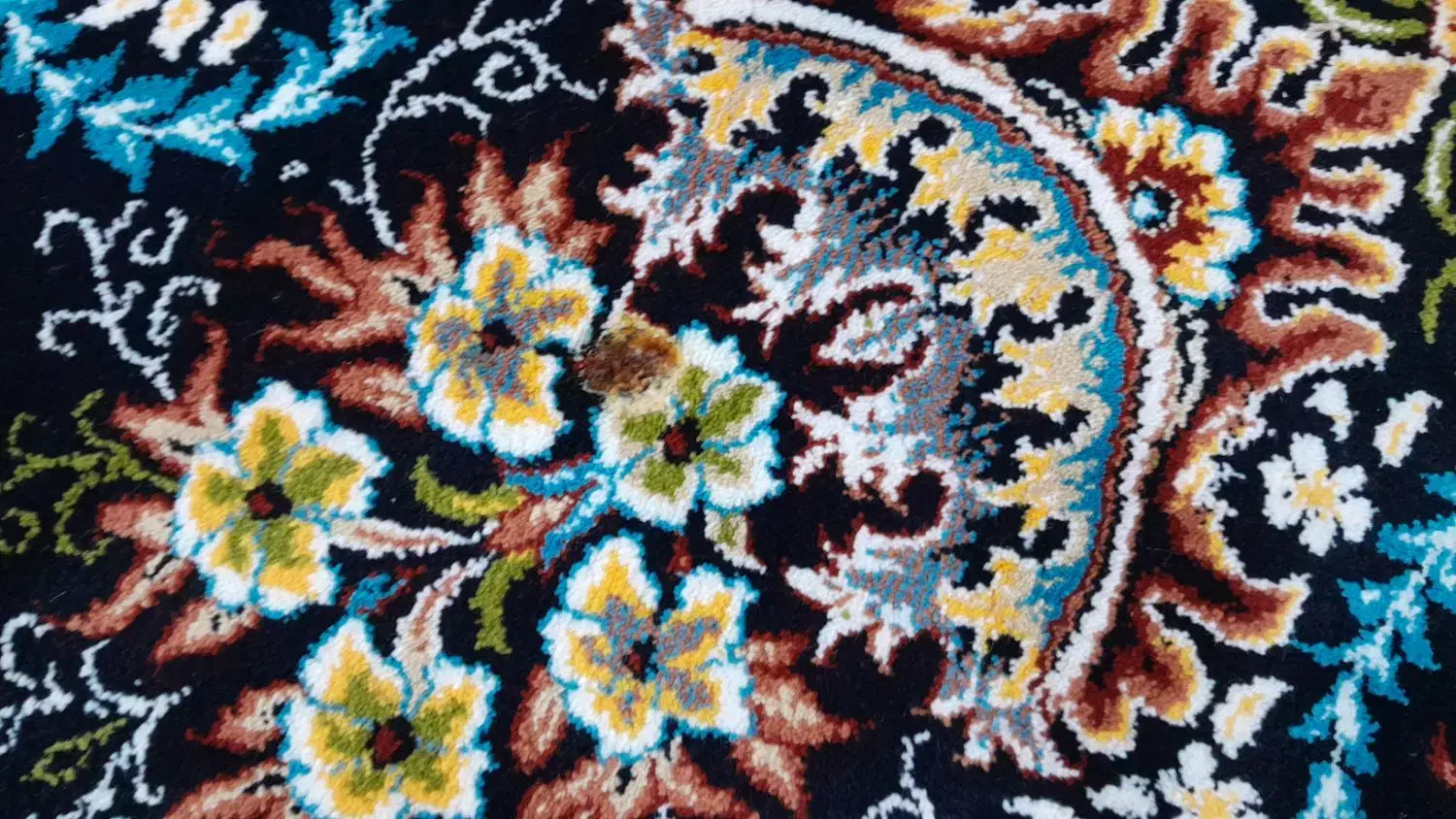 دو عدد فرش 12متری 700شانه|فرش|جوانرود, |دیوار