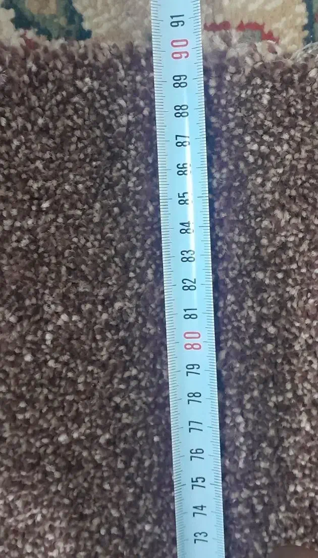 پالاز موکت|موکت|یاسوج, |دیوار