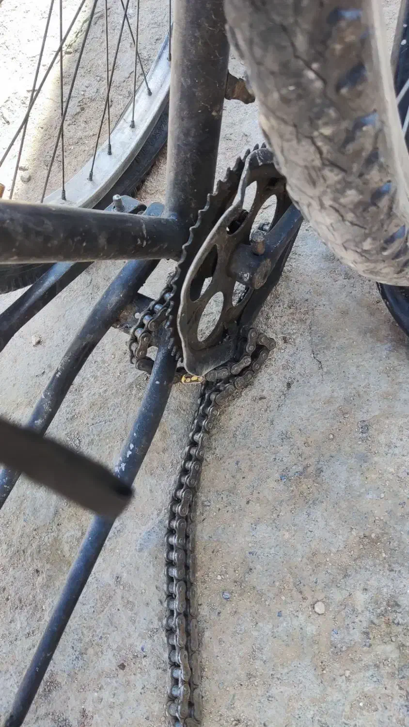 دوچرخه بیست شیش|دوچرخه، اسکیت، اسکوتر|بیرجند, |دیوار