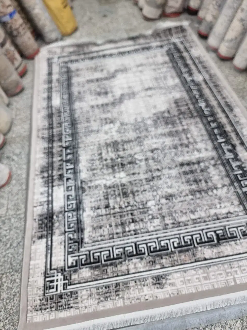 فرش فادیا|فرش|تهران, انبار نفت|دیوار