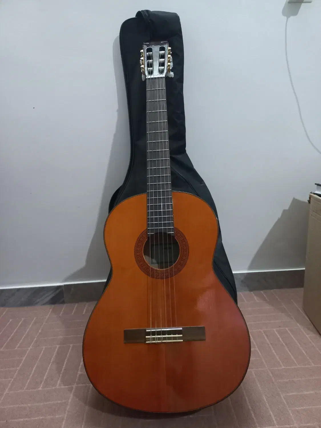 گیتار|گیتار، بیس، امپلیفایر|قدس, شهر‌قدس|دیوار