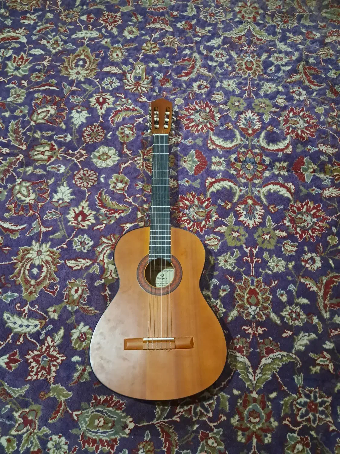 گیتار|گیتار، بیس، امپلیفایر|تربت جام, شهرک آزادگان|دیوار