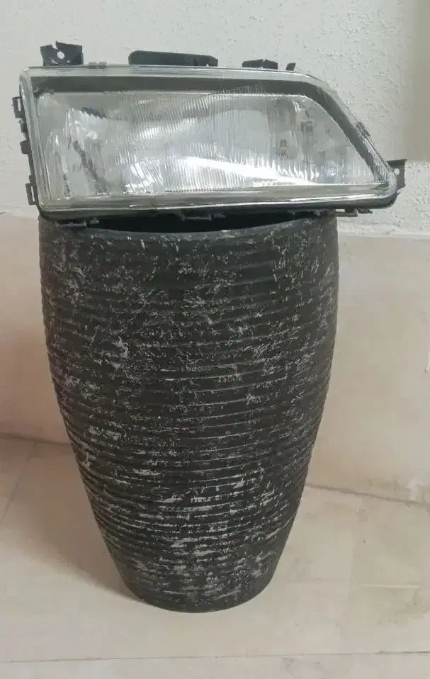 چراغ پژوچراغ پراید گلدون|گل و گیاه طبیعی|تربت جام, جامرود|دیوار