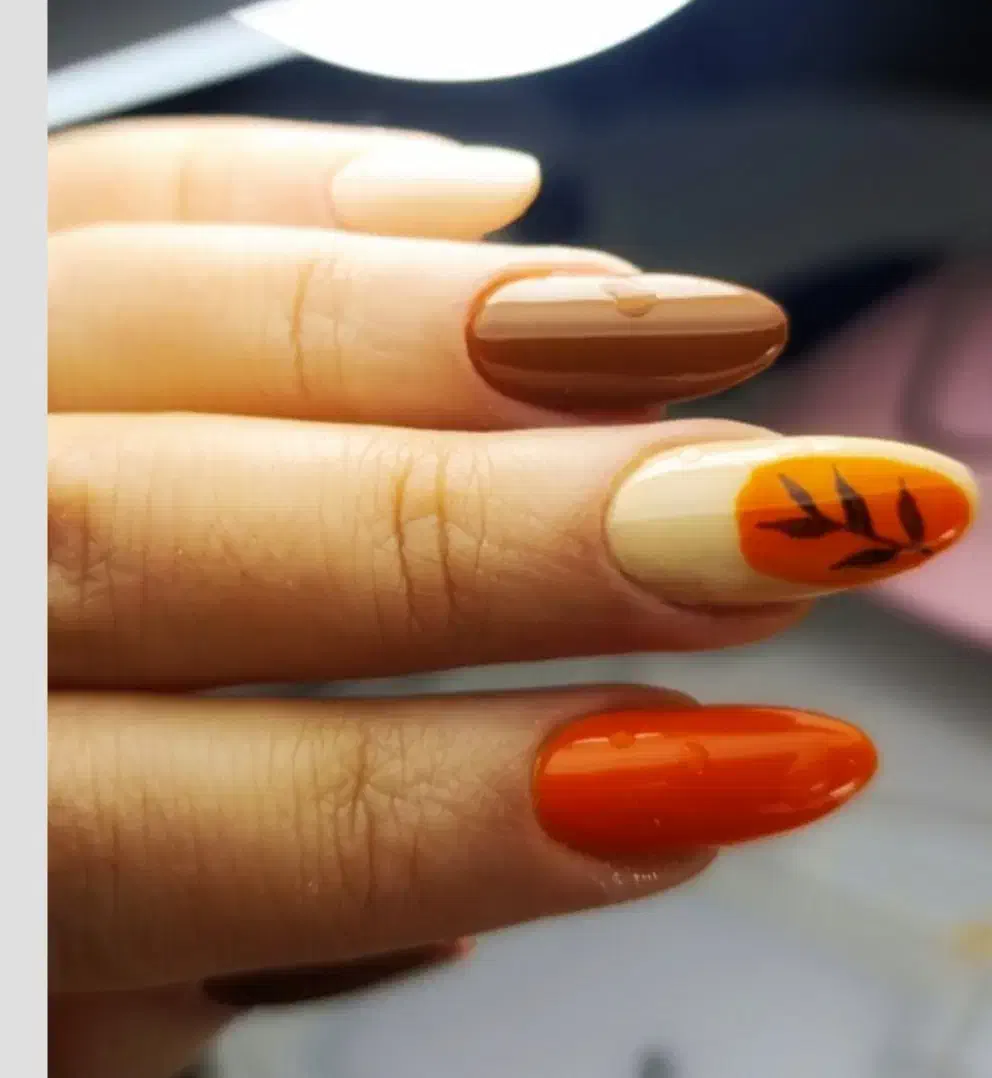 نیازمند مدل جهت عکاسی|خدمات آرایشگری و زیبایی|بروجن, |دیوار