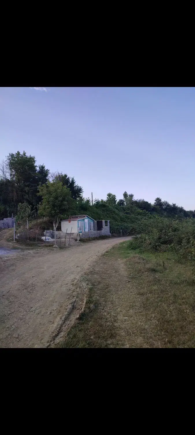 اجاره استخر ماهی ۳ هکتار برجاده /سوددهی عا،لی|فروش دفتر صنعتی، کشاورزی، تجاری|شفت, |دیوار