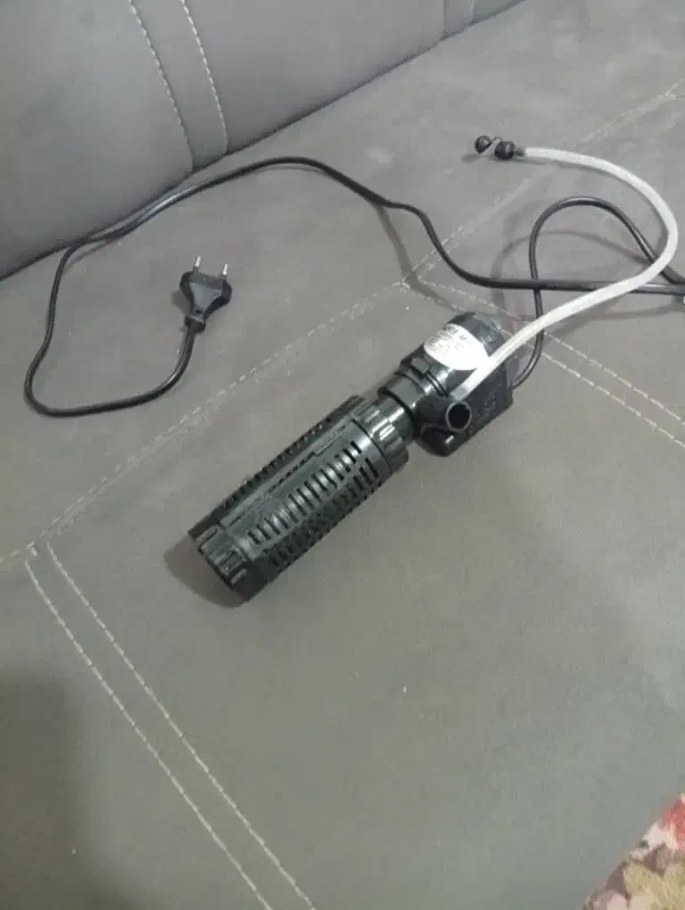 اکواریم ماهی|ماهی|بم, |دیوار