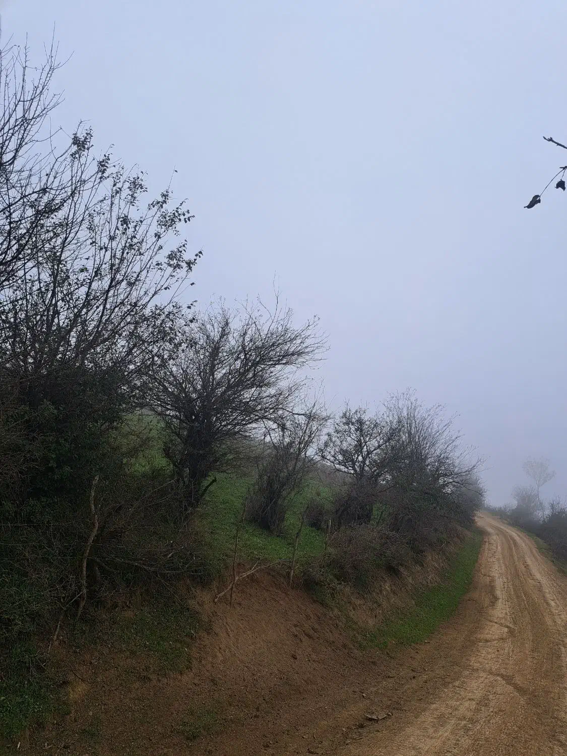۲۰۵ متر زمین در ییلاق زیبای لوییم با ویوی بی نظیر|فروش زمین و ملک کلنگی|رضوانشهر, |دیوار