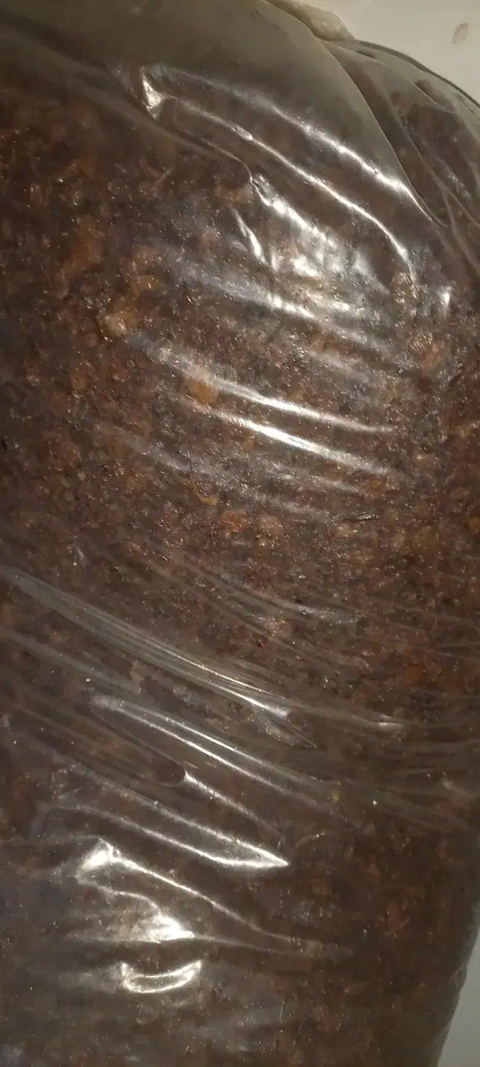 کشمش|خوردنی و آشامیدنی|اردبیل, |دیوار