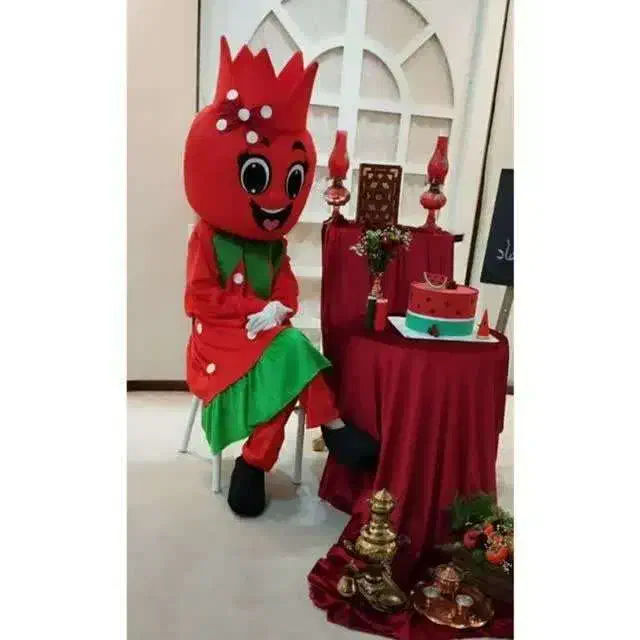 تن پوش عروسکی شب یلدا انار|اسباببازی|شیراز, تندگویان|دیوار