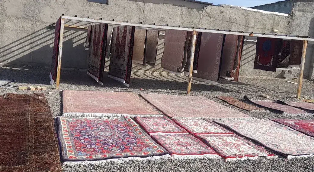 قالیشویی محمدی|خدمات نظافت|زنجان, |دیوار