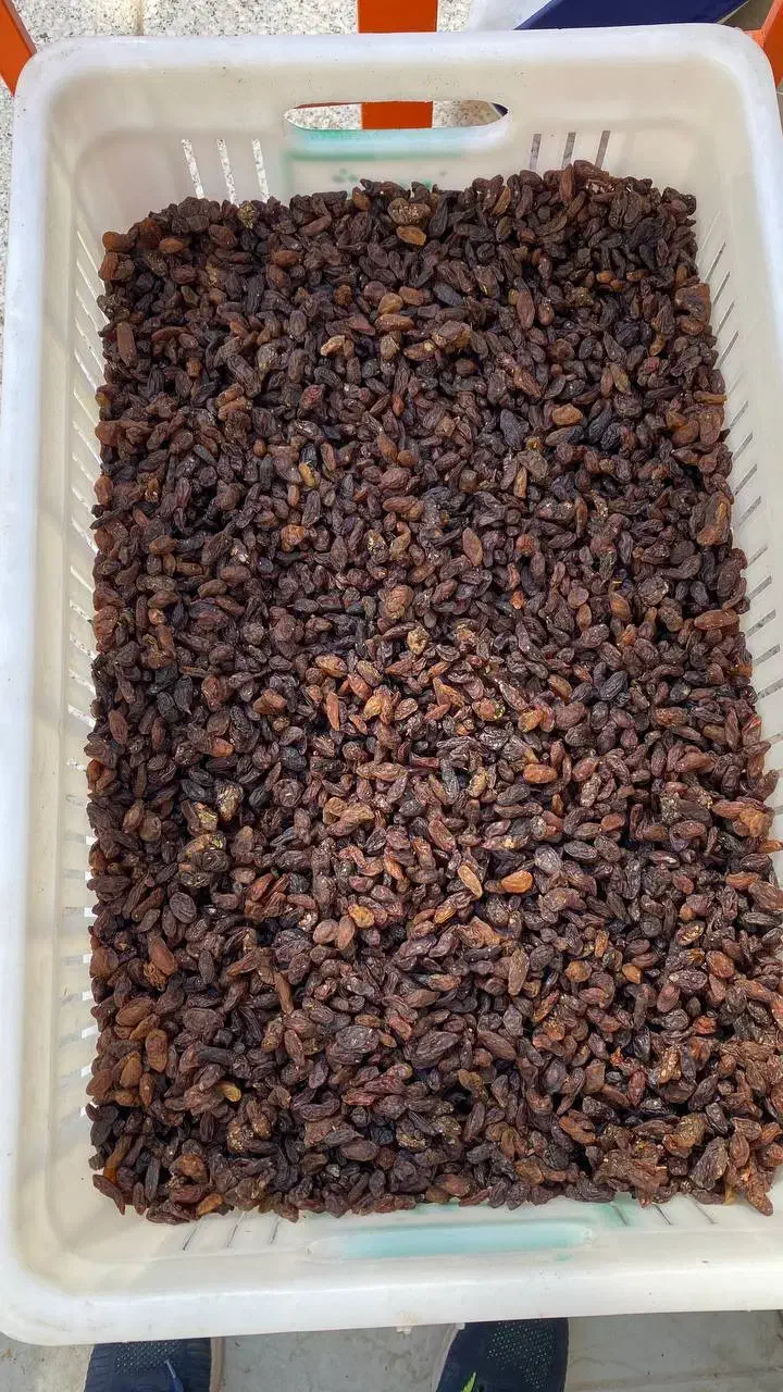 کشمش آفتابی بیدانه|خوردنی و آشامیدنی|قم, میرزائیه|دیوار