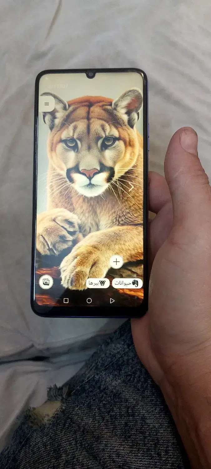 گوشی nova 70|موبایل|تهران, خزانه|دیوار