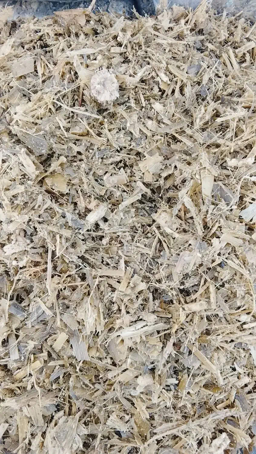 فروش علوفه ذرت|لوازم جانبی حیوانات|محمدبار, |دیوار