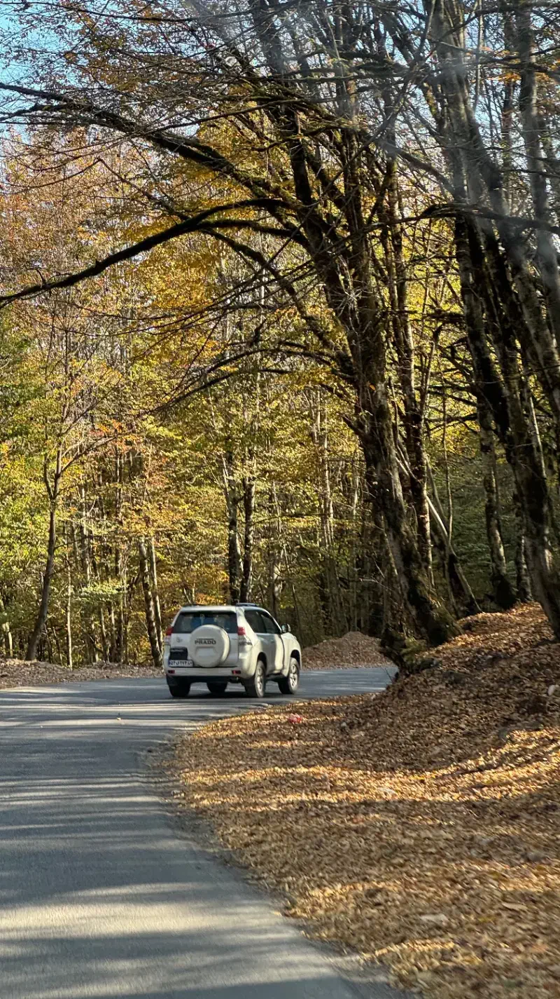 فروش ۲۵۰ متر زمین با جواز ساخت و بافت مسکونی کدیر|فروش زمین و ملک کلنگی|کجور, |دیوار