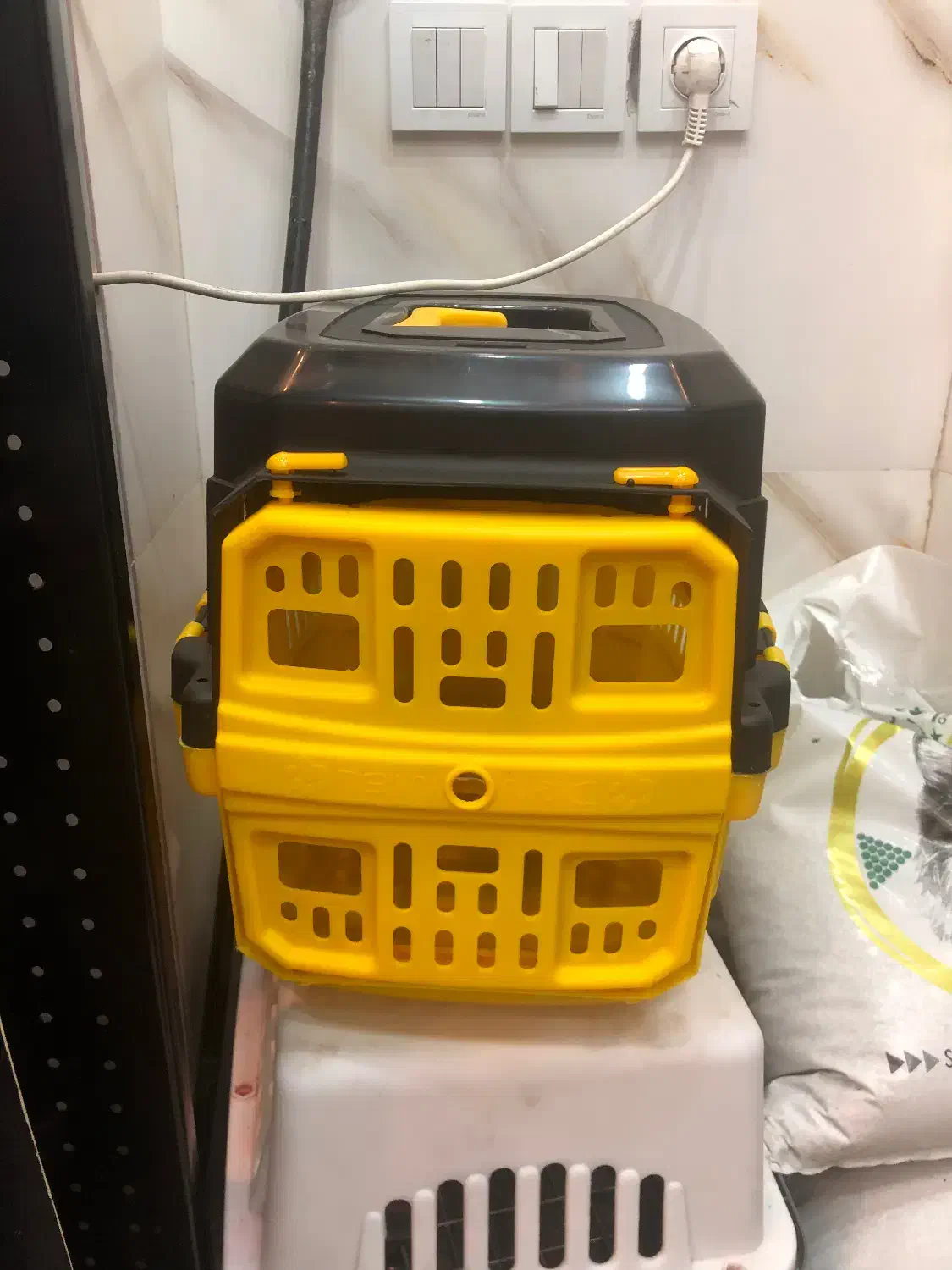 باکس و کوله گربه و سگ نژاد کوچک|لوازم جانبی حیوانات|رشت, لاکان شهر|دیوار