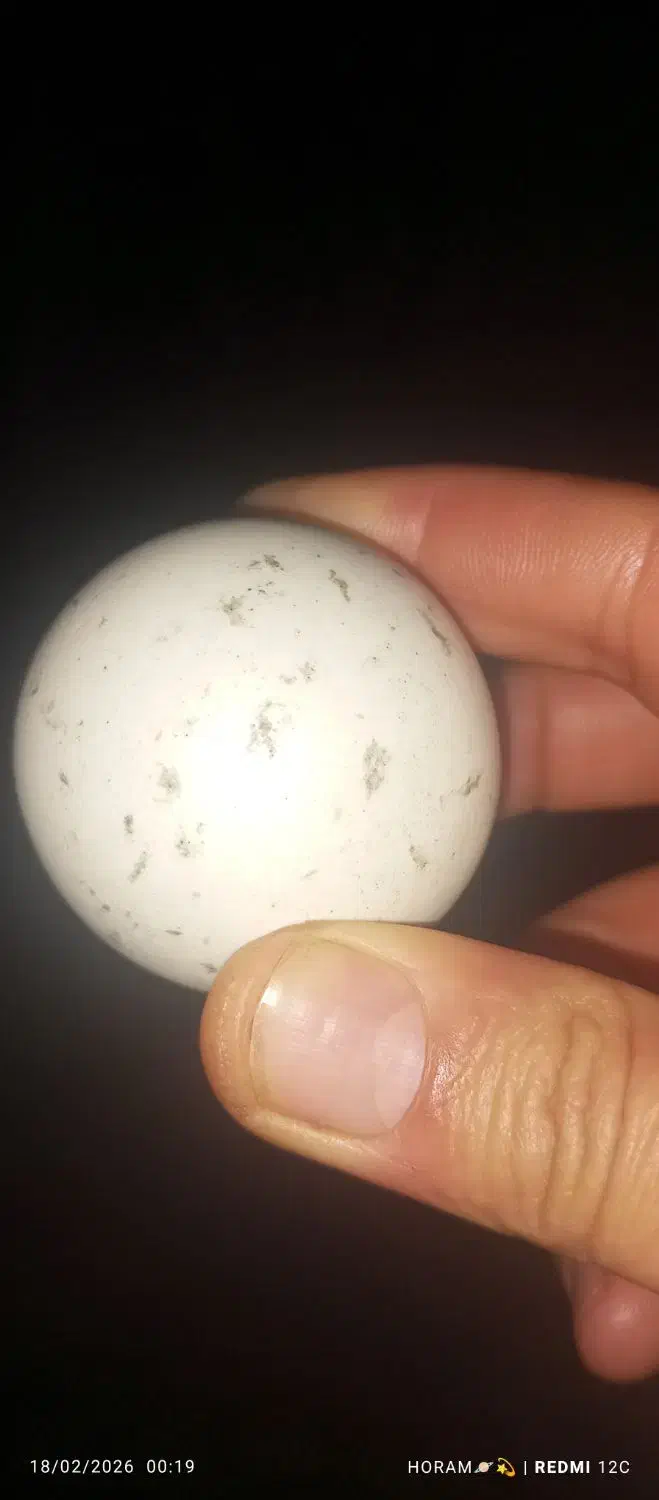 سنگ آسیاب|کلکسیون اشیاء عتیقه|سنندج, |دیوار