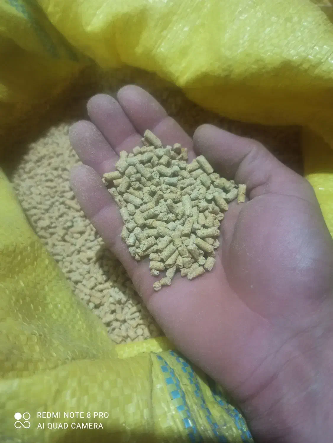 خوراک پلت مرغی و دام|عمدهفروشی|زاوه, |دیوار