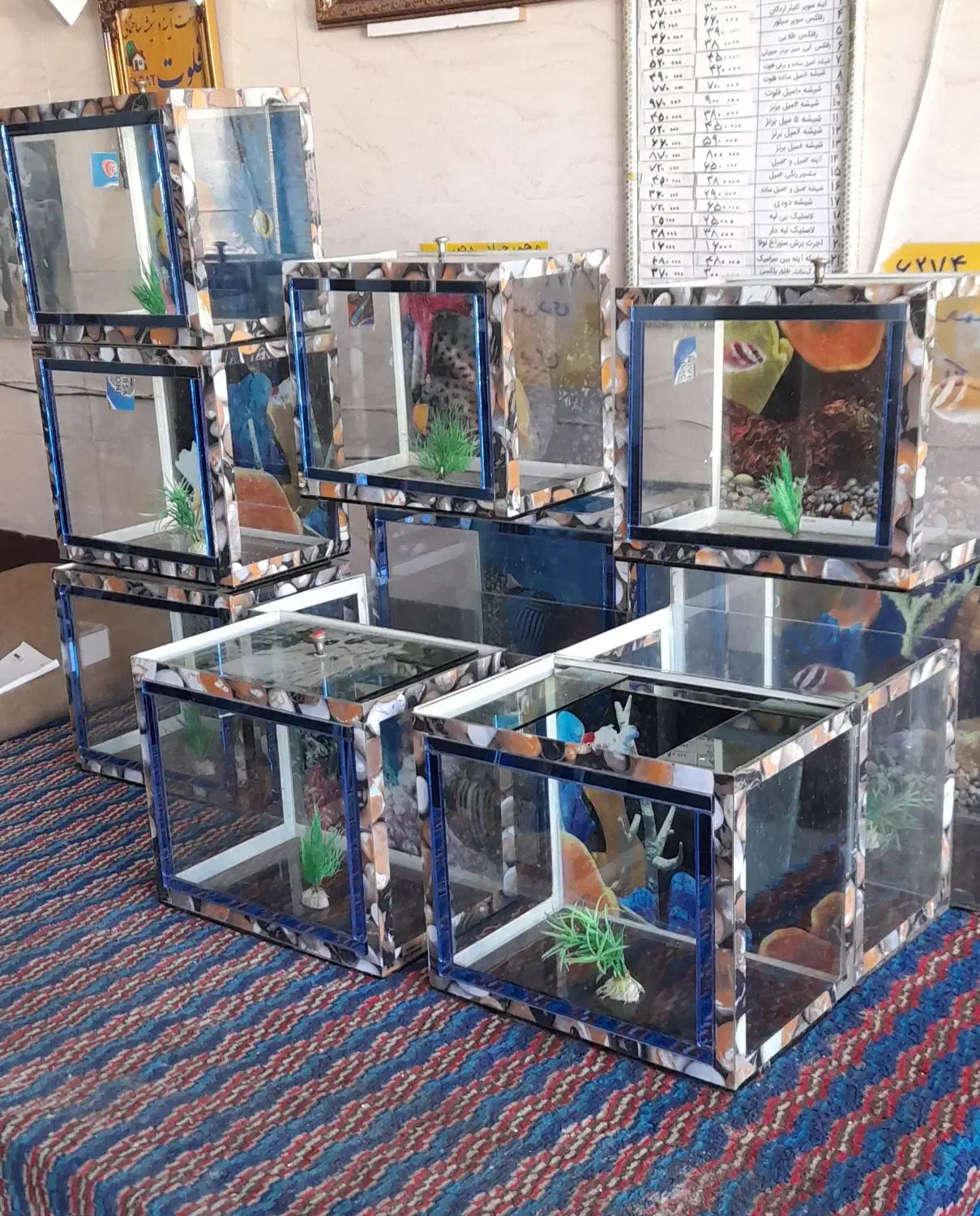 آکواریوم|حراج|شیراز, شهدای شهرک سعدی|دیوار