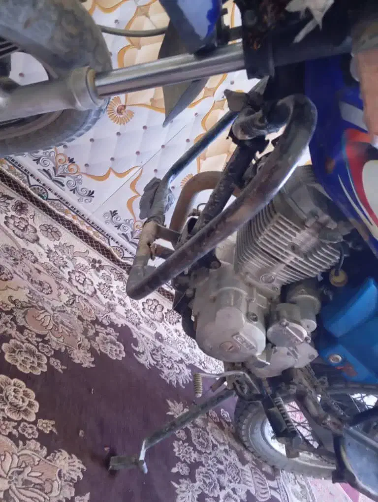 متور سیکلت شکاری|موتورسیکلت|سیب و سوران, |دیوار